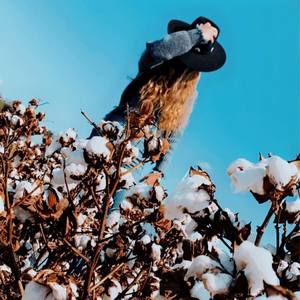 Meet your Posher, Kayle